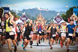 BIB: 5008, 105, 
                            <button type="button" onclick="openModal(22677504)" class="btn btn-primary btn-sm float-right btn-popup" data-toggle="modal" data-target=".modal-high-quality">
                        <i class="fas fa-shopping-cart"></i> Add to Cart
                    </button>
                                            <button type="button" onclick="isThisMe(22677504, true)" class="btn btn-success btn-sm float-right btn-popup btn-isme hidden" data-toggle="tooltip" data-placement="bottom" title="นี่คือรูปของคุณใช่ไหม คลิกที่นี่เพื่อเอาเข้าอัลบั้ม">
                        <i class="fas fa-plus"></i> Add to album
                    </button>
                    <button type="button" onclick="isThisMe(22677504, false)" class="btn btn-warning btn-sm float-right btn-popup btn-isnotme hidden">
                        <i class="fas fa-ban"></i> Remove from album
                    </button>